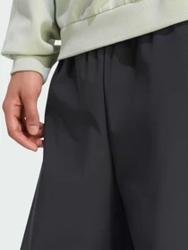 Штани Adidas ZNE модель KF6319 Фото