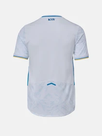 Футболки и поло New Balance ФК «Динамо» Киев New Balance Home Retail модель MT230469HME Фото