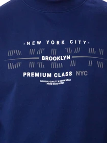 Худи и свитшоты Носи своє модель 8167-057-33-sapfrovij-brooklyn Фото