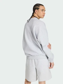 Худи и свитшоты Adidas модель KS0315 Фото