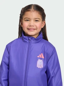 Куртки и дубленки Adidas Tiro модель KQ6170 Фото