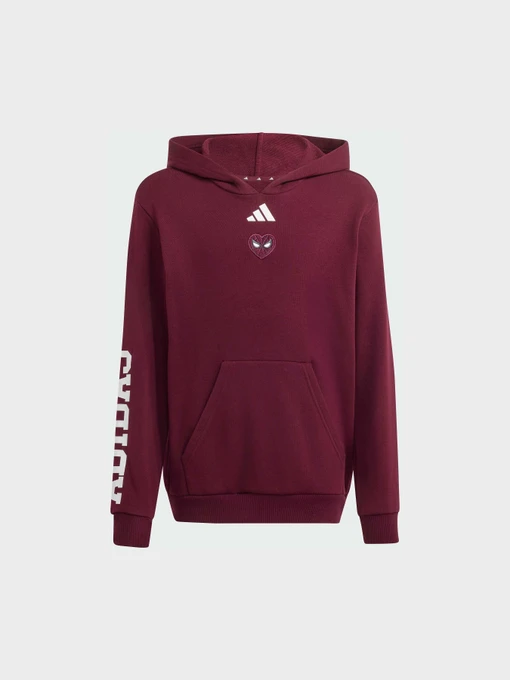 Худи и свитшоты Adidas модель KS3961 Фото