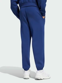 Штани Adidas модель KS5572 Фото