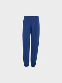 Штани Adidas модель KS5572 Фото