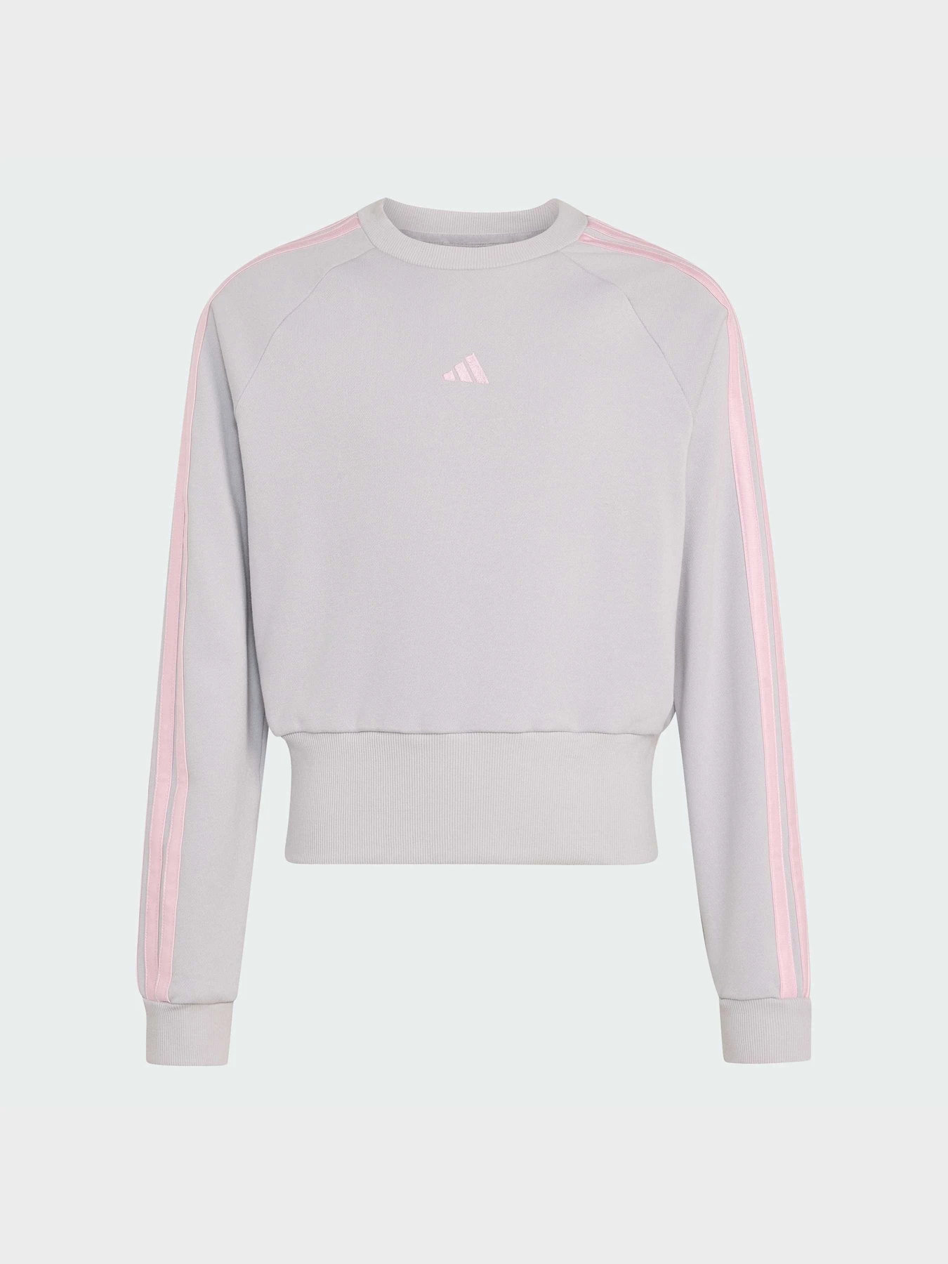 Худи и свитшоты Adidas модель KT2107 Фото