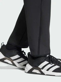 Брюки Adidas модель KG4784 Фото