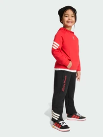 Штани Adidas модель KG6125 Фото