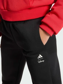 Штани Adidas модель KG6125 Фото