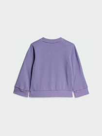 Костюмы Adidas Adidas Essentials модель KT0877 Фото