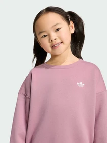 Костюмы Adidas модель KT2242 Фото