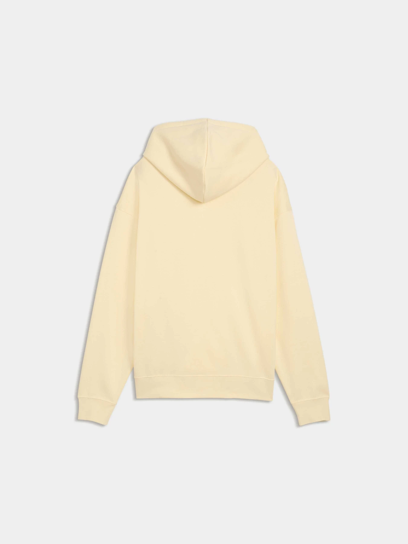 Худі та світшоти PUMA Ess Small No. 1 Logo Hoodie модель 682397 Фото