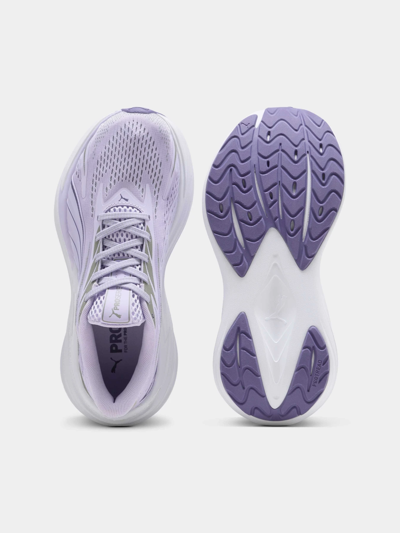 Кросівки PUMA Maxima Pro модель 313313 Фото