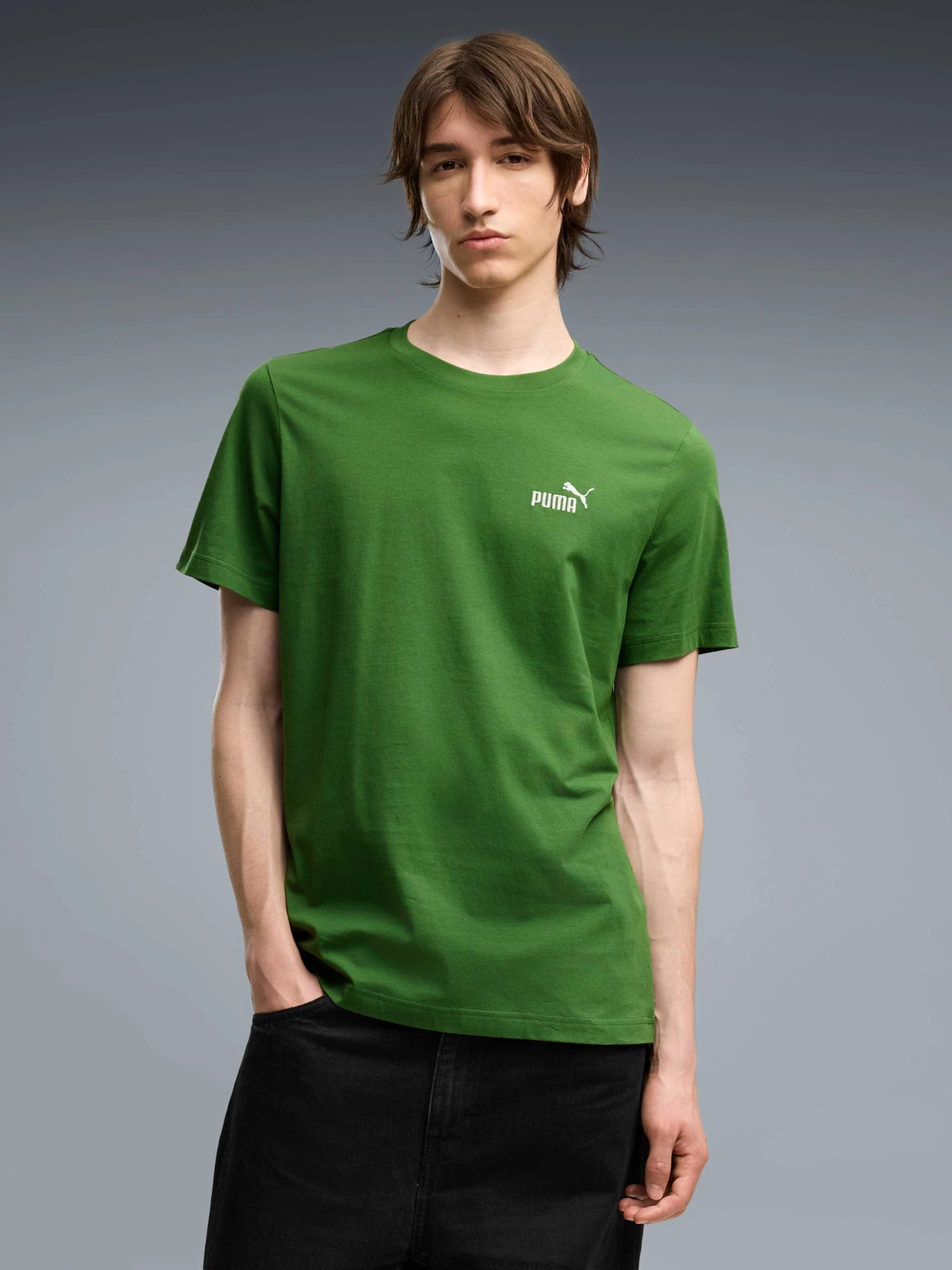 Футболки и поло PUMA Ess Small No. 1 Logo Tee модель 682535 Фото