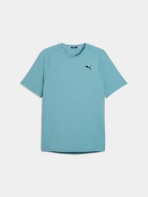 Футболки і поло PUMA M Pwrmode Tee модель 528540 Фото