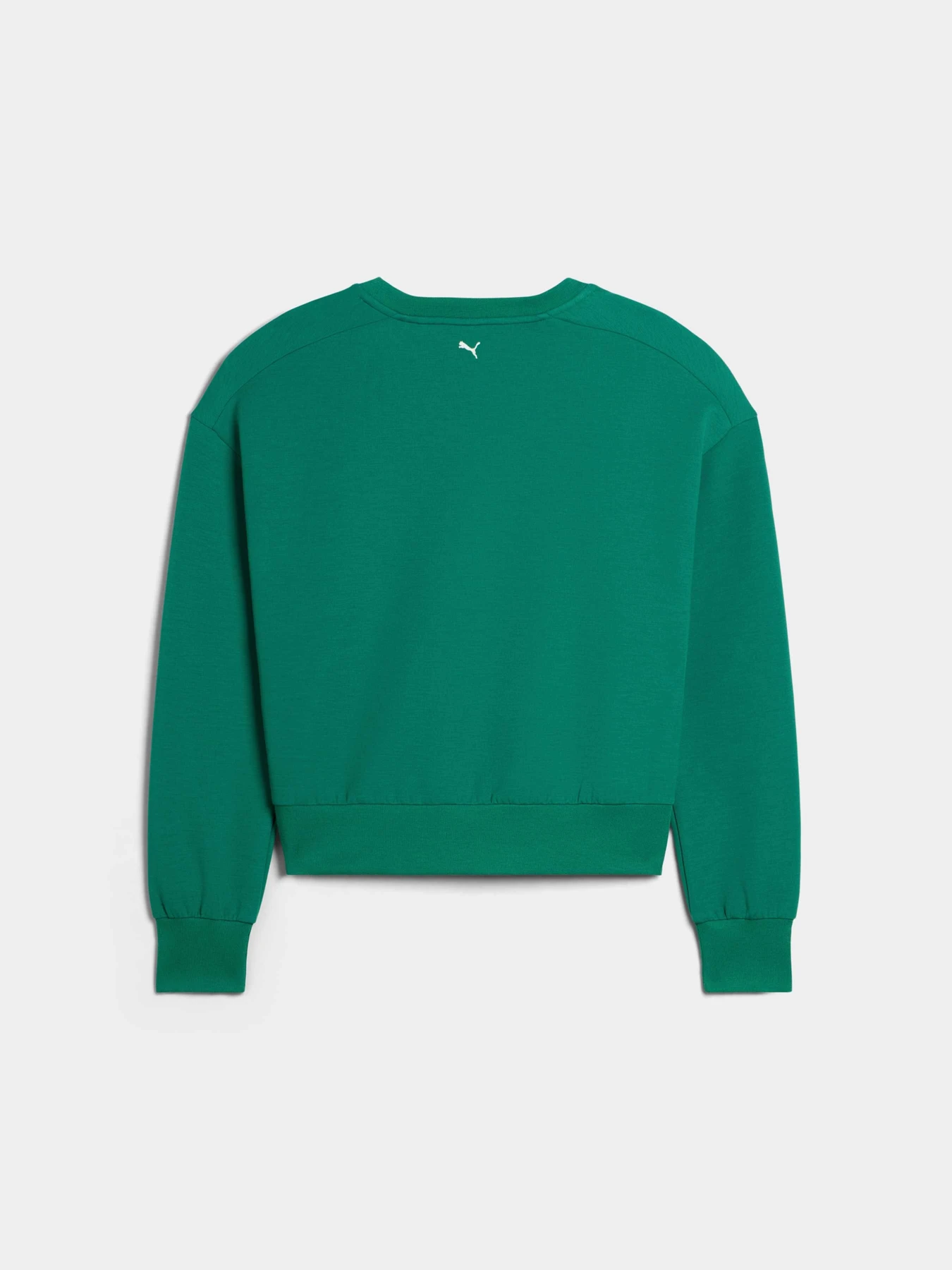 Худи и свитшоты PUMA W 30904 Cloudspun Fleece модель 635537 Фото