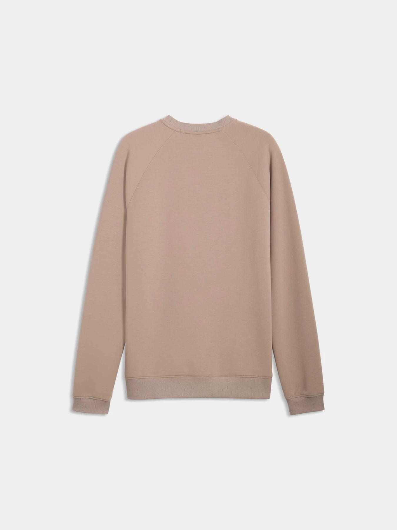 Худи и свитшоты PUMA Cloudspun Fleece Crewneck модель 635473 Фото