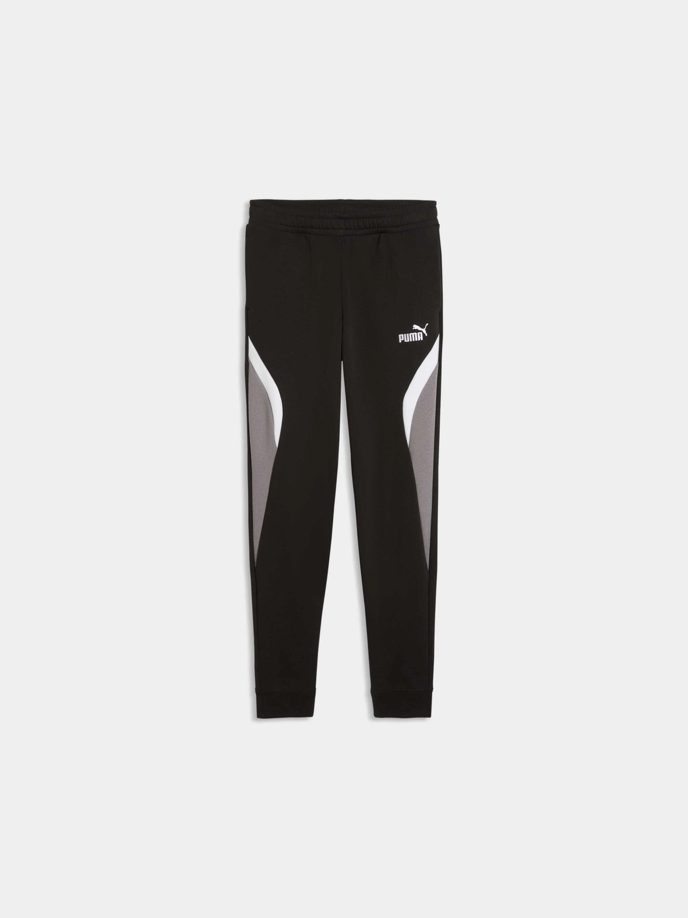 Брюки PUMA Ess Block Sweatpants модель 694736 Брюки PUMA Ess Block Sweatpants модель 694736 Фото