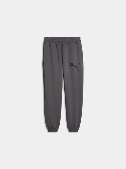 Брюки PUMA Sport Street Relaxed Gr модель 694319 Фото