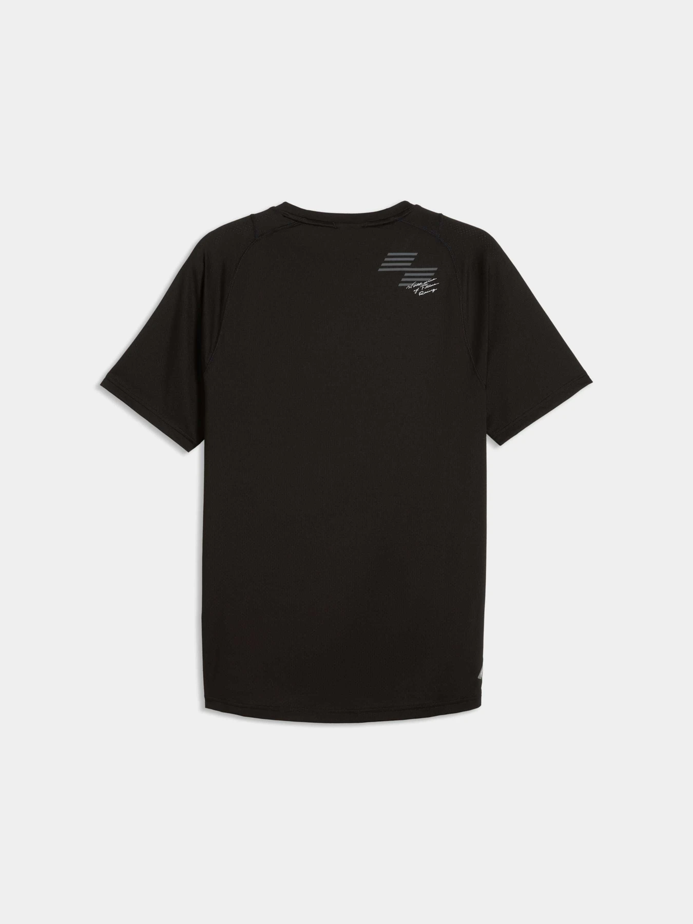 Футболки и поло PUMA M x Hyrox Pwrmode Tee модель 529237 Футболки и поло PUMA M x Hyrox Pwrmode Tee модель 529237 Фото