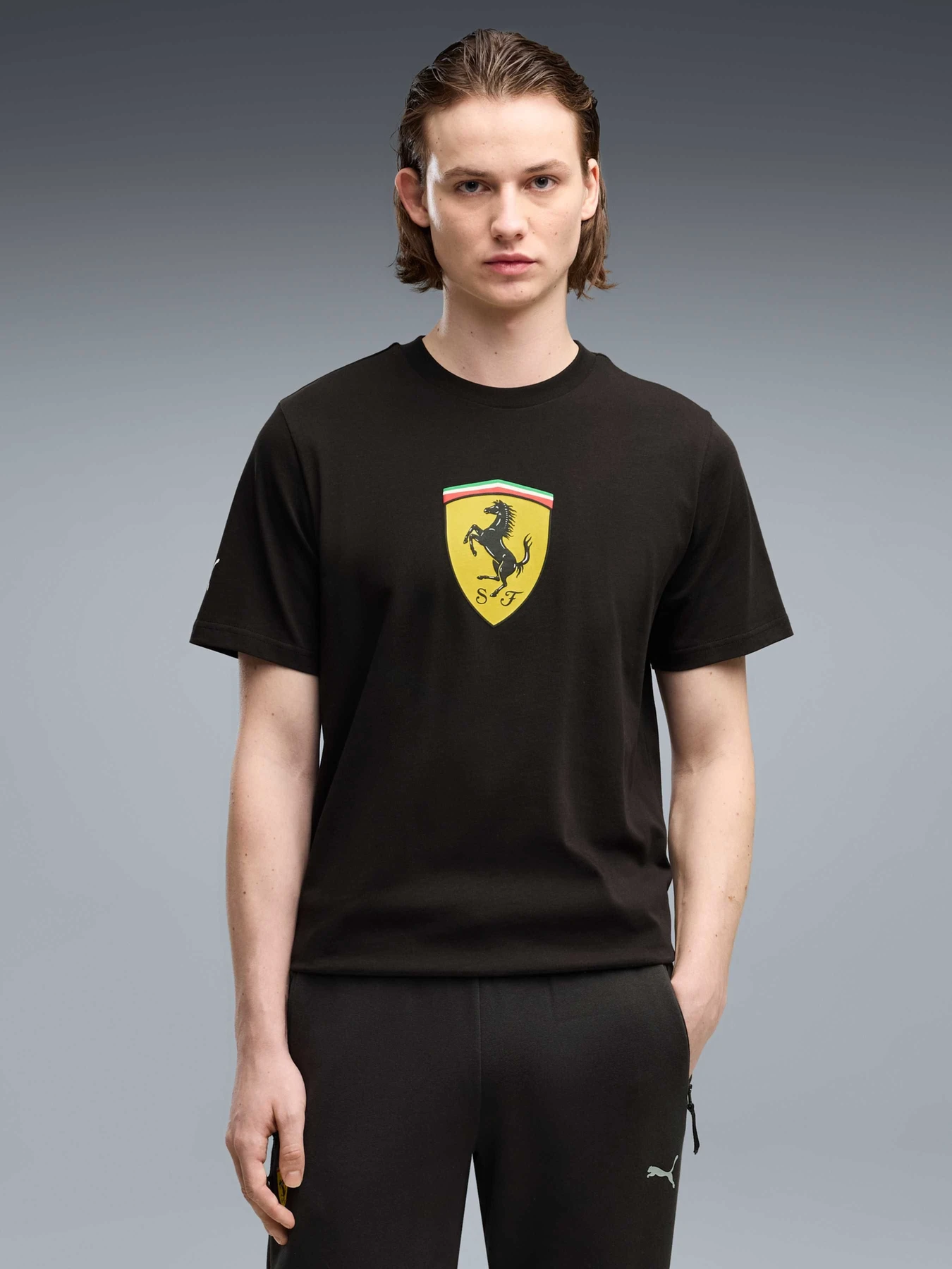 Футболки и поло PUMA Ferrari Colored Shield Tee модель 637003 Футболки и поло PUMA Ferrari Colored Shield Tee модель 637003 Фото