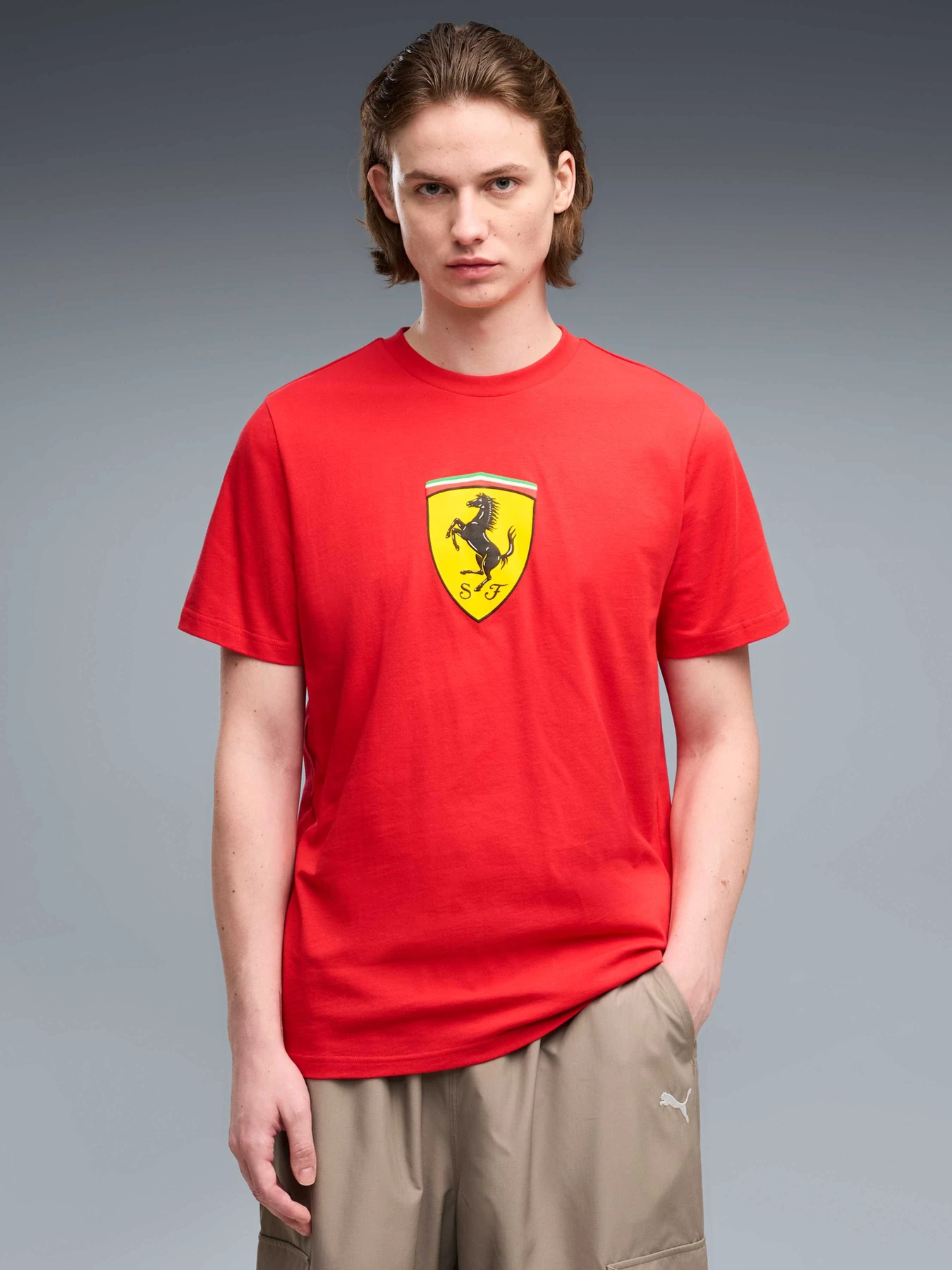 Футболки и поло PUMA Ferrari Colored Shield Tee модель 637003 Футболки и поло PUMA Ferrari Colored Shield Tee модель 637003 Фото