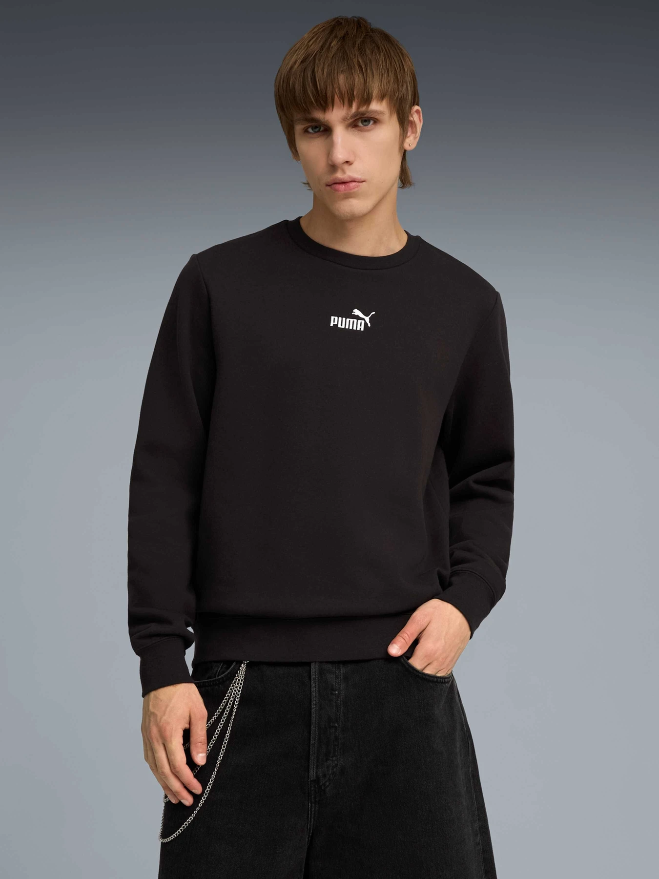 Худи и свитшоты PUMA Ess No.1 Logo Crew Fl модель 692913 Фото