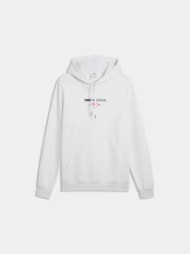 Худи и свитшоты PUMA Class Graphic Hoodie Fl модель 694295 Фото