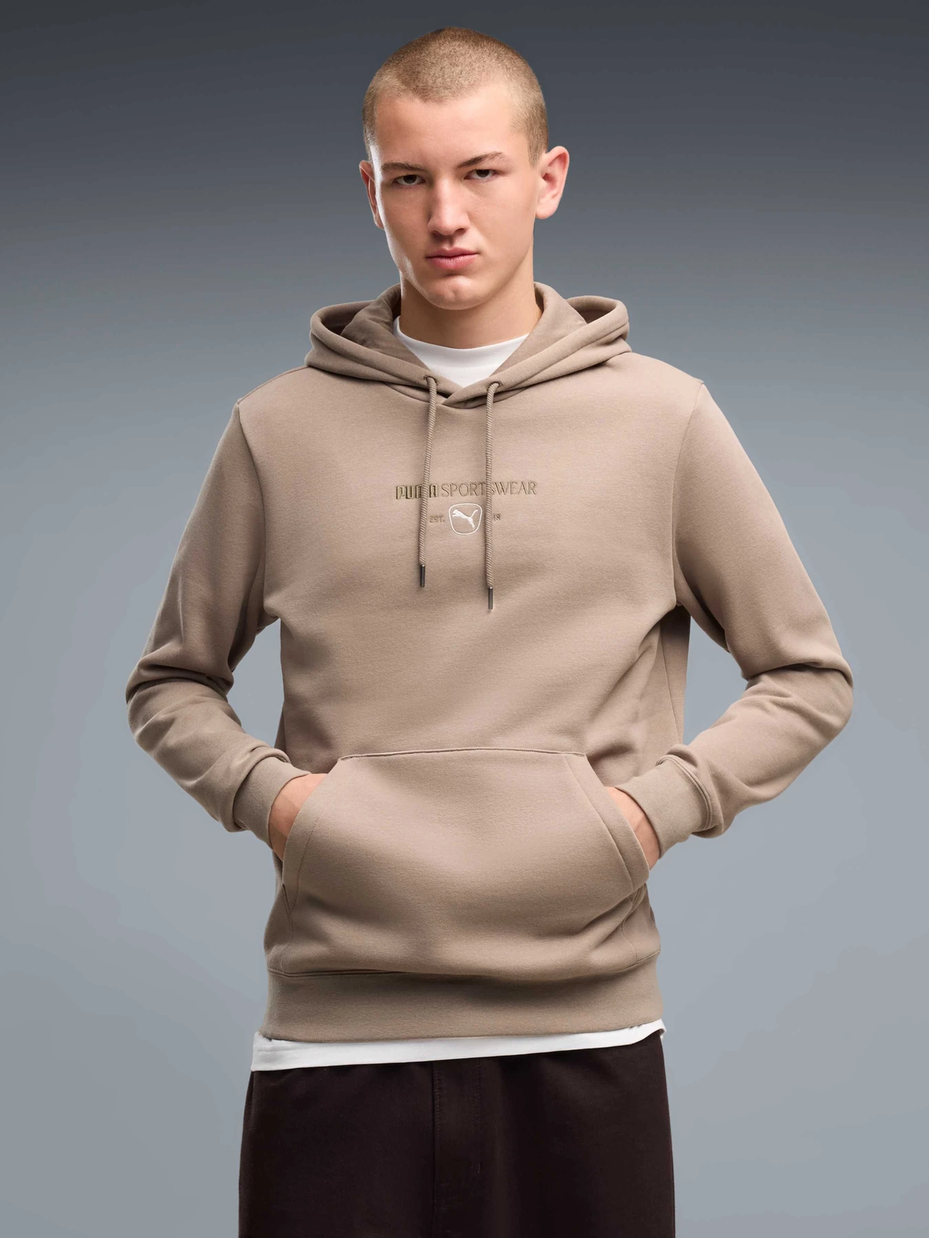 Худи и свитшоты PUMA Class Graphic Hoodie Fl модель 694295 Фото