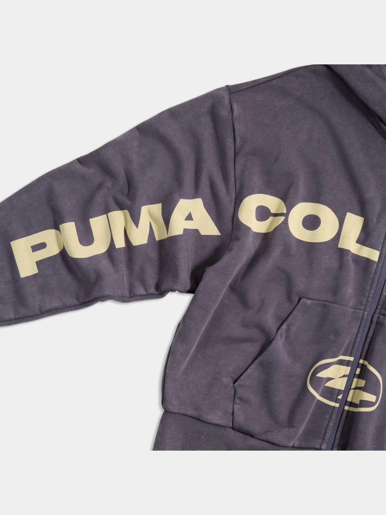 Худі та світшоти PUMA Spc Boxy Fz Hoodie модель 638730 Фото