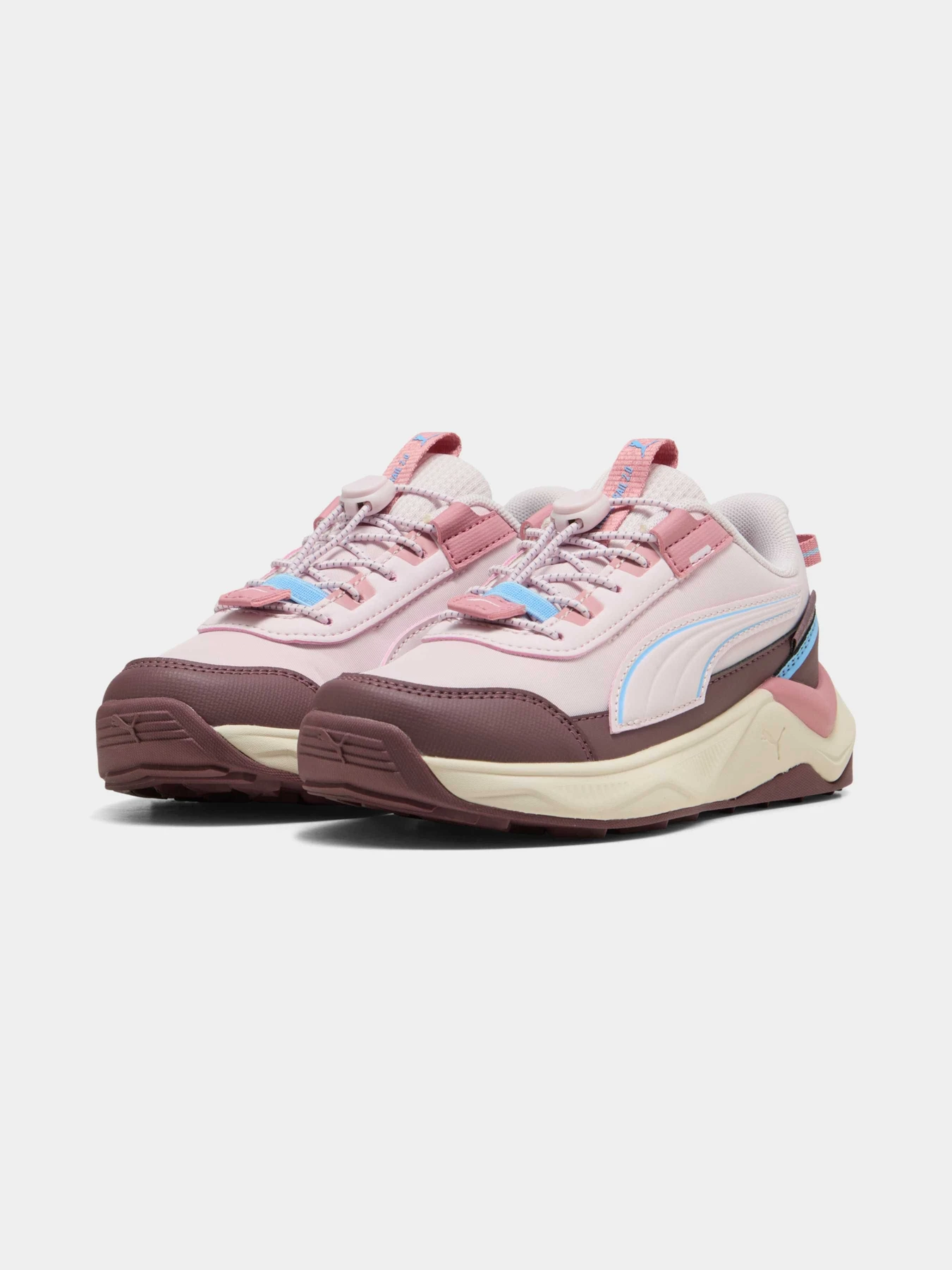 Кросівки PUMA Evolve 2.0 Trail Lo Ps модель 313805 Фото