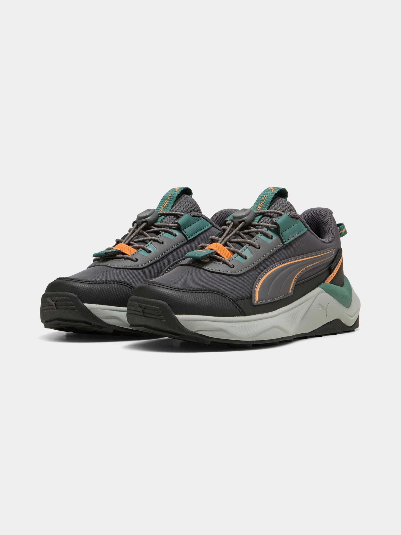 Кроссовки PUMA Evolve 2.0 Trail Lo Ps модель 313805 Фото