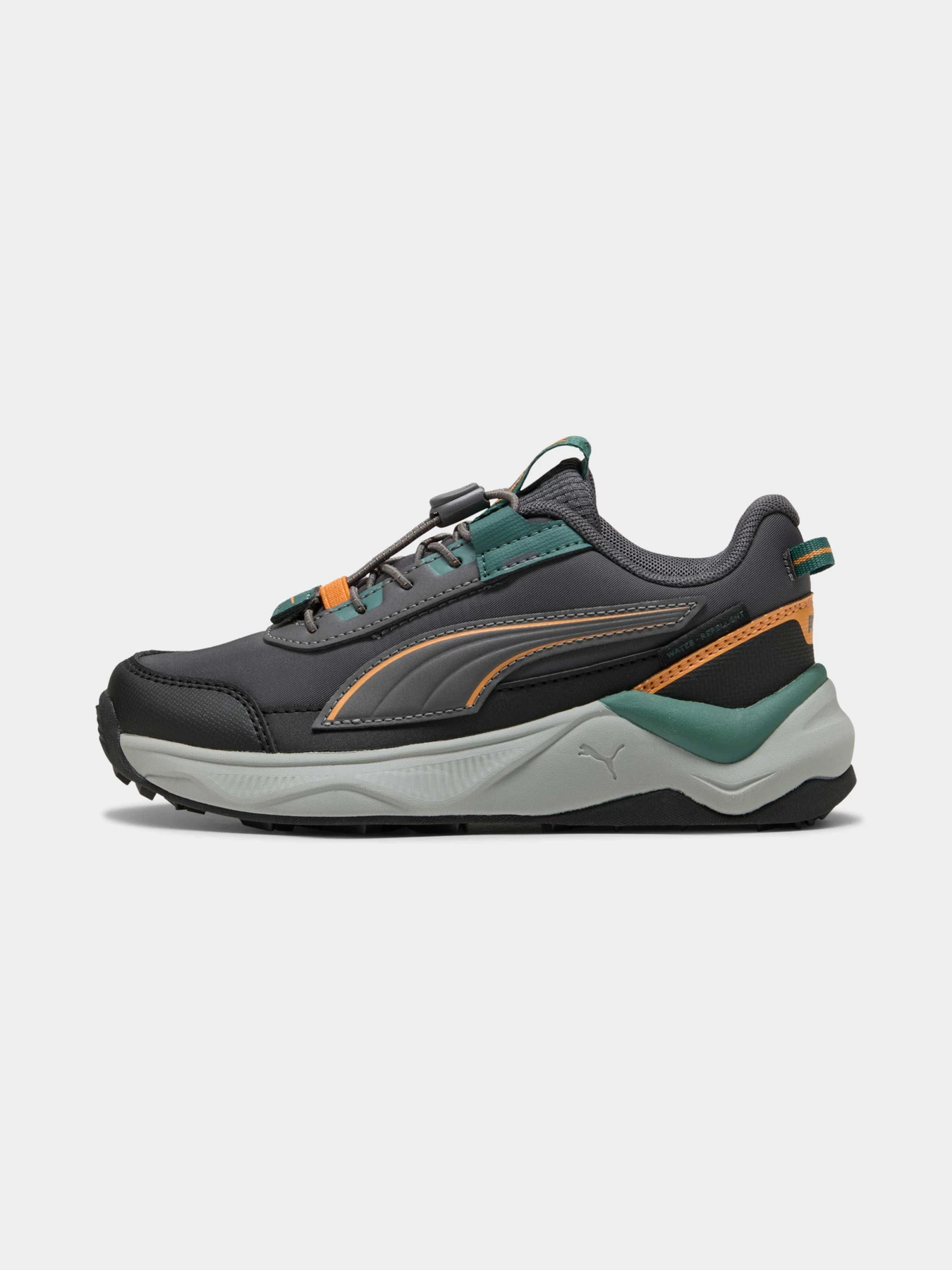Кроссовки PUMA Evolve 2.0 Trail Lo Ps модель 313805 Фото