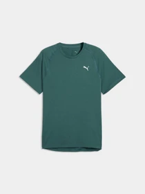 Футболки і поло PUMA M Pwrtrain Triblend Tee модель 528532 Фото