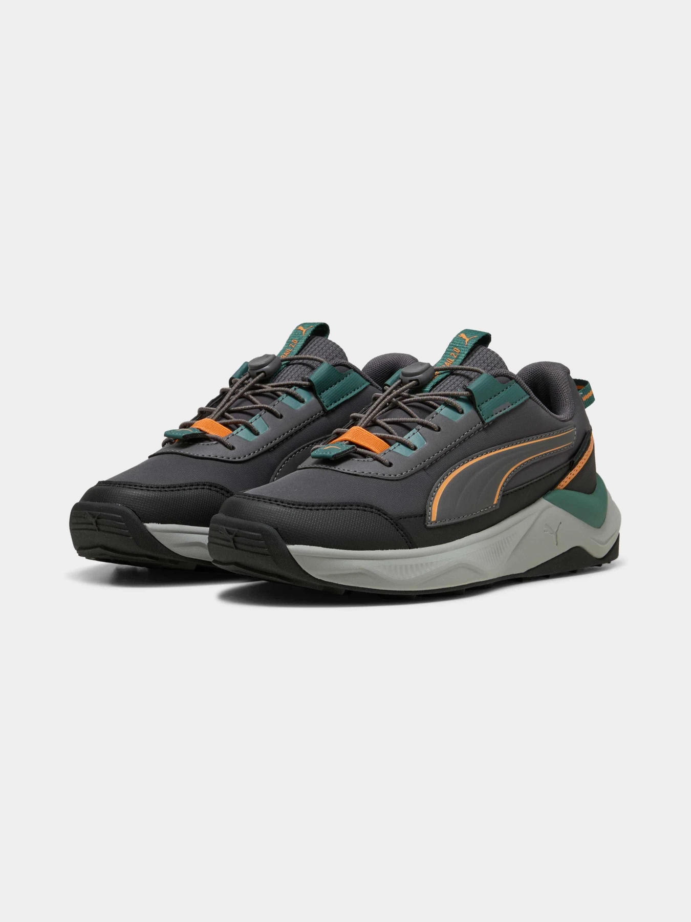 Кросівки PUMA Evolve 2.0 Trail Lo Jr модель 313804 Фото