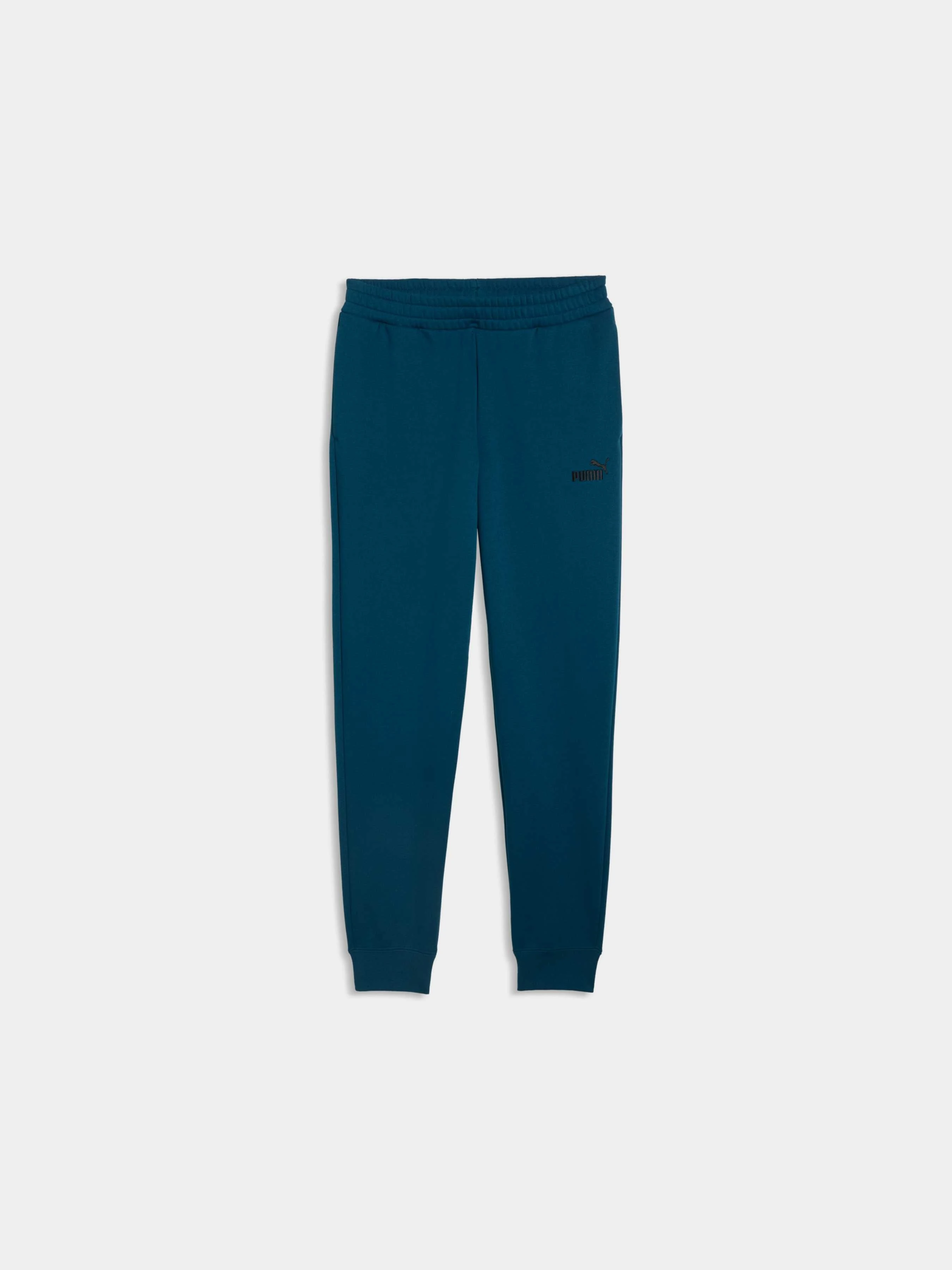 Жіночі Спортивні штани PUMA Ess No. 1 Logo Sweatpants