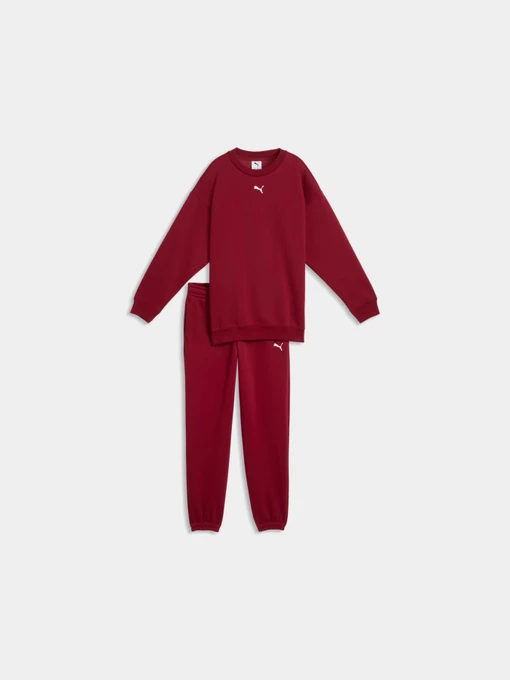 Костюмы PUMA Loungewear Sweat Suit модель 689727 Фото