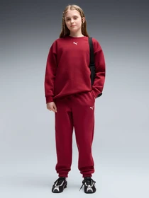 Костюмы PUMA Loungewear Sweat Suit модель 689727 Фото