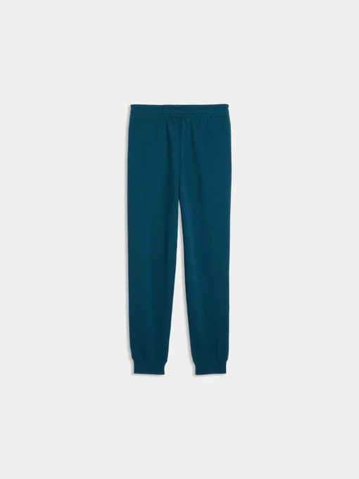 Дитячі Спортивні штани PUMA Ess No. 1 Logo Sweatpants Fl фото 2