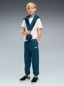 Штани PUMA Ess No. 1 Logo Sweatpants Fl модель 684912 Фото