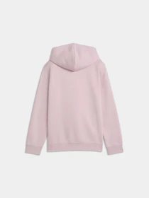 Худи и свитшоты PUMA Ess No. 1 Logo Hoodie модель 684896 Фото