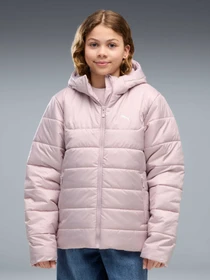 Куртки и дубленки PUMA Ess Hooded Padded Jacket модель 685226 Фото