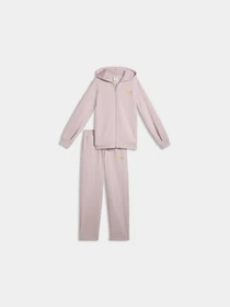 Костюмы PUMA Ess Script Sweat Suit модель 695209 Фото