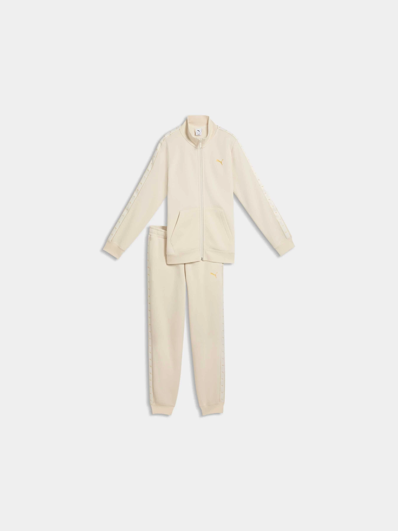 Костюмы PUMA Ess Tape Full-zip Sweat Suit модель 695420 Костюмы PUMA Ess Tape Full-zip Sweat Suit модель 695420 Фото