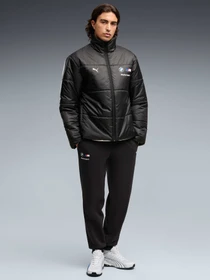 Брюки PUMA Bmw Mms Ess Pants Fleece модель 638212 Фото