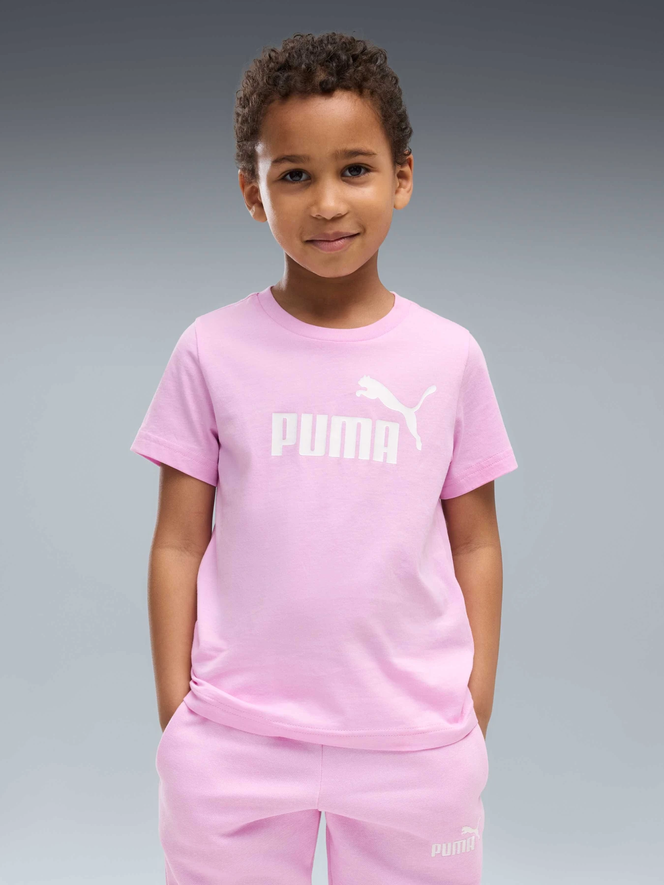 Футболки и поло PUMA Ess No. 1 Logo Tee модель 684930 Футболки и поло PUMA Ess No. 1 Logo Tee модель 684930 Фото