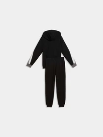 Костюмы PUMA Ess Block Sweat Suit модель 695219 Фото
