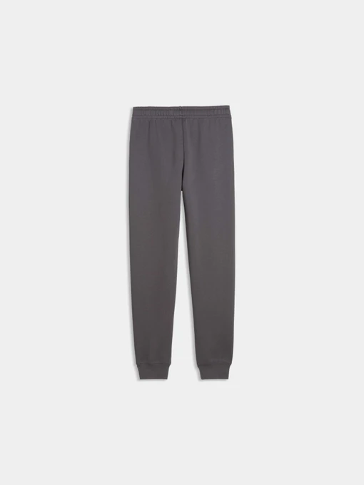 Штани PUMA Ess Elevated Sweatpants Fl модель 694702 Фото