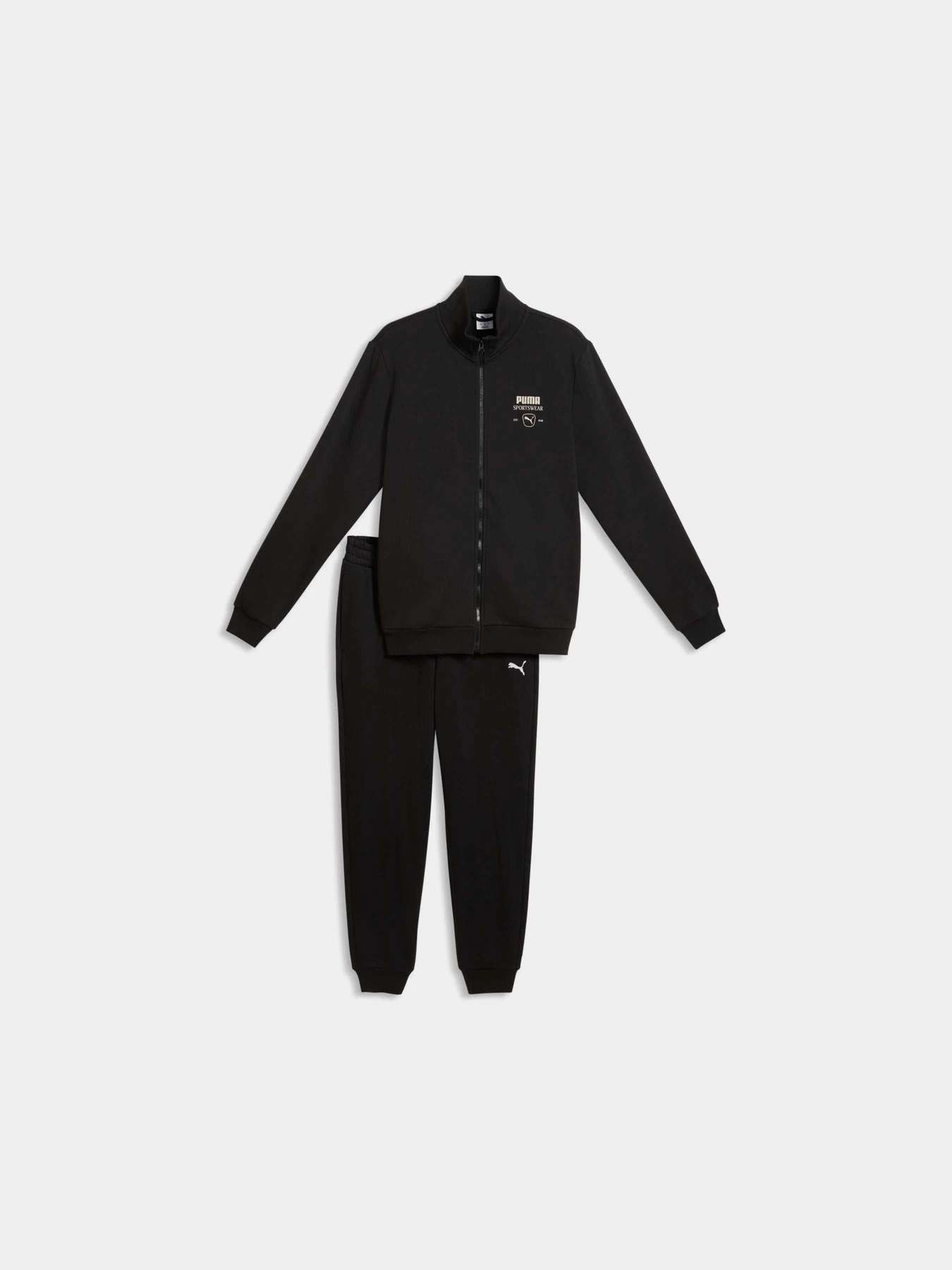 Костюмы PUMA Sport Fashion Sweat Suit модель 694352 Костюмы PUMA Sport Fashion Sweat Suit модель 694352 Фото