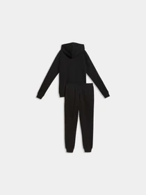 Костюми PUMA Hooded Sweat Suit модель 693994 Фото