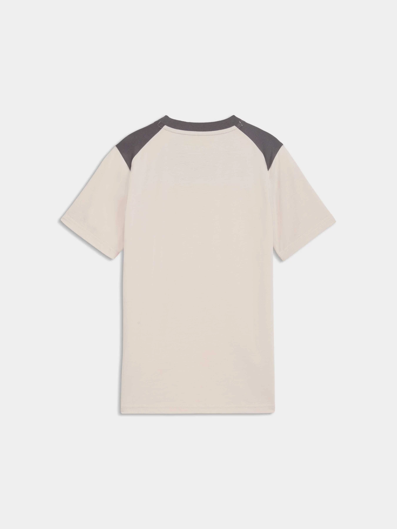 Футболки и поло PUMA Tech Essentials Tee модель 694732 Фото